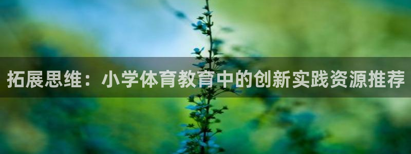 z66体育全站APP下载