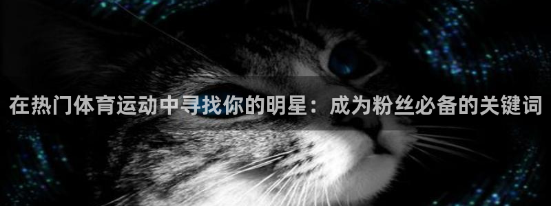 Z66体育APP最新版