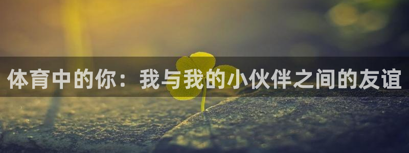 关键词