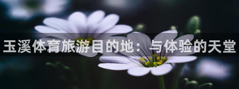 Z66体育cz